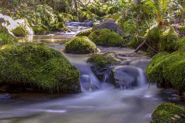 Múltiple Exposición Diferentes Puntos Barranco Con Rocas Cubiertas Musgo Las —  Fotos de Stock