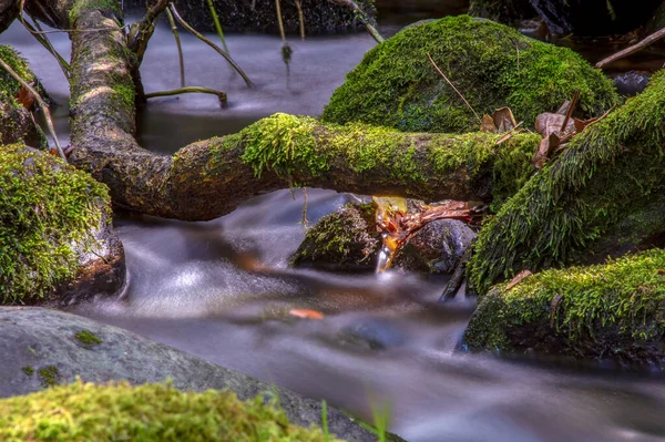 Múltiple Exposición Diferentes Puntos Barranco Con Rocas Cubiertas Musgo Las —  Fotos de Stock