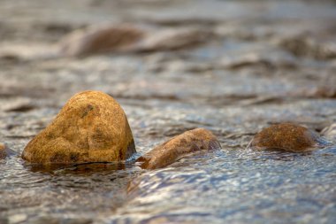 Kolombiya 'daki Santander Bölümü' nün güneyindeki El Valle nehrinde yakalanan nehir taşlarının yakın çekim görüntüleri.