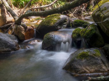Kolombiya 'nın orta And Dağları' ndaki Villa de Leyva kasabası yakınlarındaki dağlık bir geçitte çoklu maruz kalma..