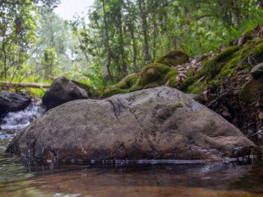 Kolombiya 'nın orta kesimindeki And Dağları' nın dağlık kesimlerinde bulunan bir ravin içindeki kayaların yakın çekim görüntüleri..