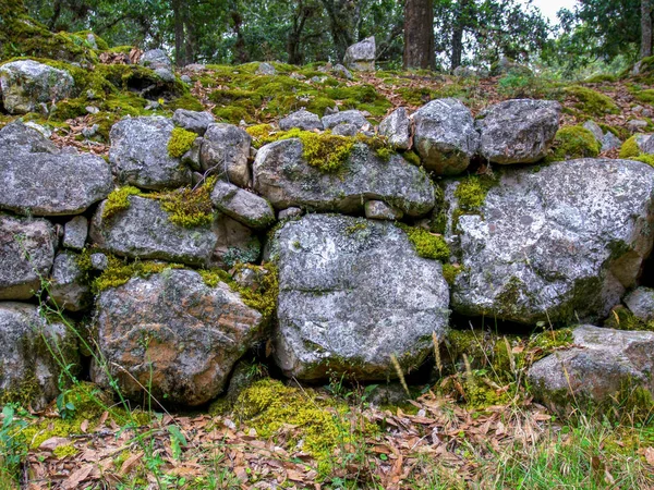 Diferentes Seções Uma Parede Pedra Muito Antiga Coberta Musgo Hilsidel — Fotografia de Stock