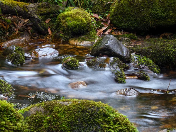 Compuesto Múltiples Imágenes Larga Exposición Corriente Arroyo Con Rocas Troncos —  Fotos de Stock