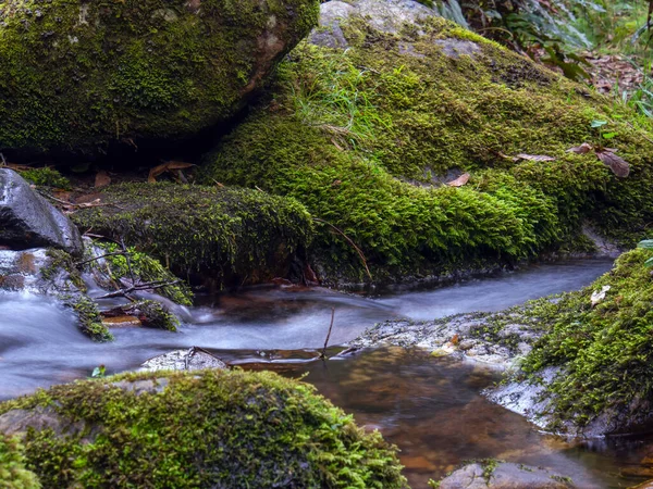 Compuesto Múltiples Imágenes Larga Exposición Corriente Arroyo Con Rocas Troncos —  Fotos de Stock