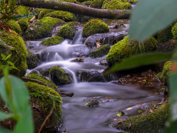 Compuesto Múltiples Imágenes Larga Exposición Corriente Arroyo Con Rocas Troncos —  Fotos de Stock