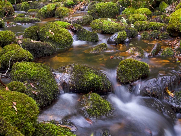 Compuesto Múltiples Imágenes Larga Exposición Corriente Arroyo Con Rocas Troncos —  Fotos de Stock