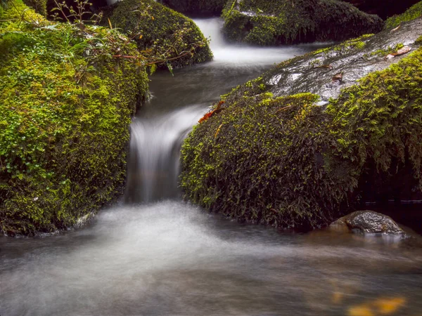 Compuesto Múltiples Imágenes Larga Exposición Corriente Arroyo Con Rocas Troncos —  Fotos de Stock