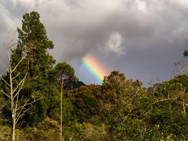 Una Porción Arco Iris Aparece Sobre Bosque Andino Las Montañas — Foto de Stock