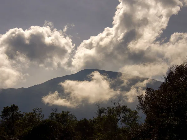 Cordilheira Andina Central Colômbia Cobriu Nuvens Baixas Pela Manhã Perto — Fotografia de Stock