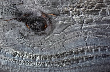 Mantar işaretleri, nem, yangın veya aletlerle üretilen farklı ahşap dokularının makro fotoğrafçılığı.