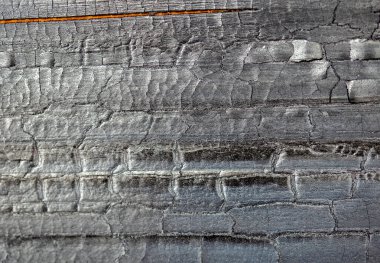 Mantar işaretleri, nem, yangın veya aletlerle üretilen farklı ahşap dokularının makro fotoğrafçılığı.