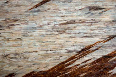 Mantar işaretleri, nem, yangın veya aletlerle üretilen farklı ahşap dokularının makro fotoğrafçılığı.