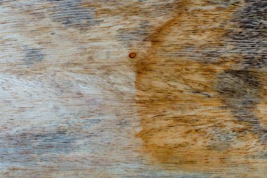 Mantar işaretleri, nem, yangın veya aletlerle üretilen farklı ahşap dokularının makro fotoğrafçılığı.