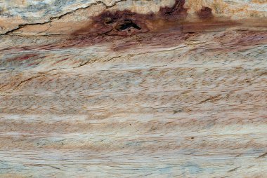 Mantar işaretleri, nem, yangın veya aletlerle üretilen farklı ahşap dokularının makro fotoğrafçılığı.