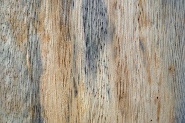 Mantar işaretleri, nem, yangın veya aletlerle üretilen farklı ahşap dokularının makro fotoğrafçılığı.