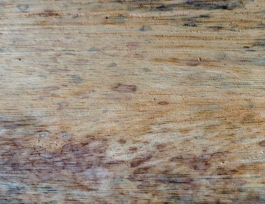 Mantar işaretleri, nem, yangın veya aletlerle üretilen farklı ahşap dokularının makro fotoğrafçılığı.