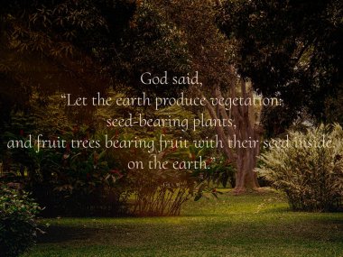 Derin ve ilham verici Hristiyanlık ve katolik alıntılar ve azizlerin öğretileri Tanrı 'nın yarattığı güzel imgeler üzerine..