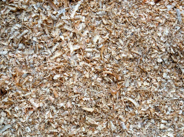 Fotografia Macro Diferentes Texturas Madeira Produzidas Naturalmente Por Marcas Fungos — Fotografia de Stock