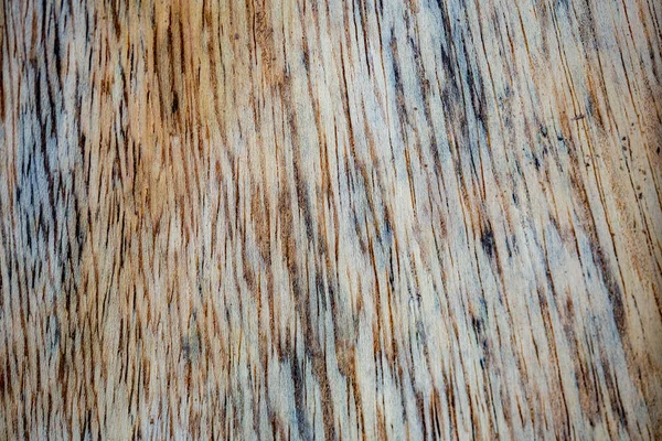 Fotografía Macro Diferentes Texturas Madera Producidas Naturalmente Por Marcas Hongos —  Fotos de Stock