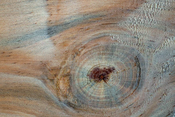 Fotografía Macro Diferentes Texturas Madera Producidas Naturalmente Por Marcas Hongos —  Fotos de Stock