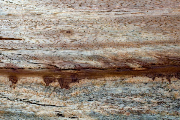 Macro Fotografia Diverse Texture Legno Prodotte Naturalmente Segni Funghi Umidità — Foto Stock