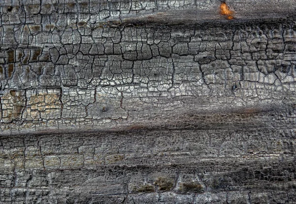 Makroaufnahmen Verschiedener Holzstrukturen Die Natürlich Durch Pilzspuren Feuchtigkeit Feuer Oder — Stockfoto