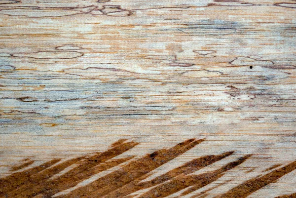 Fotografía Macro Diferentes Texturas Madera Producidas Naturalmente Por Marcas Hongos — Foto de Stock