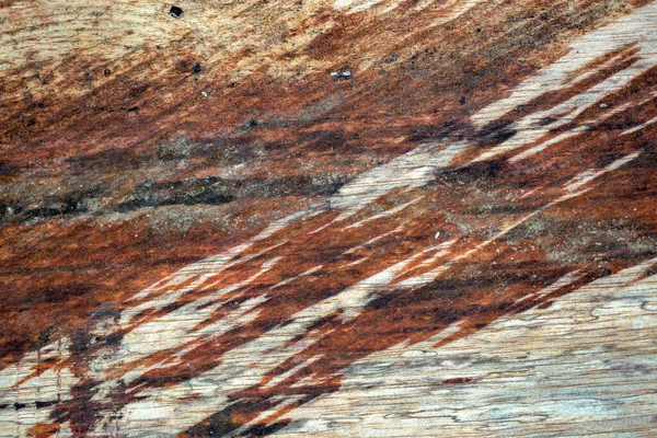 Fotografía Macro Diferentes Texturas Madera Producidas Naturalmente Por Marcas Hongos — Foto de Stock