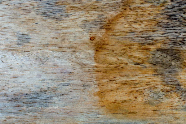 Makro Fotografie Různých Textur Dřeva Přirozeně Produkovaných Plísněmi Vlhkostí Ohněm — Stock fotografie