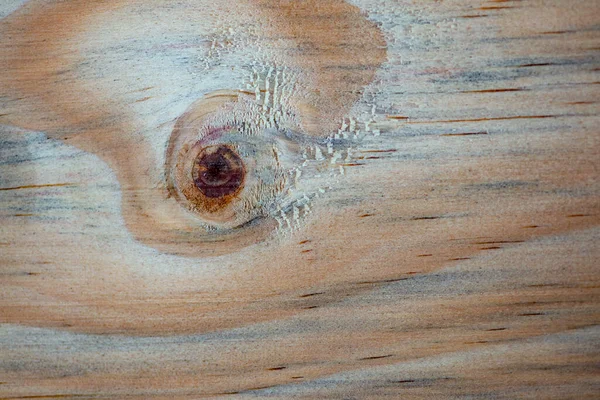 Fotografía Macro Diferentes Texturas Madera Producidas Naturalmente Por Marcas Hongos — Foto de Stock