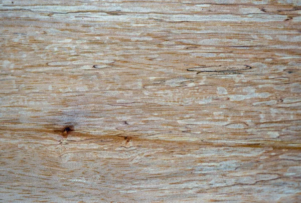 Fotografía Macro Diferentes Texturas Madera Producidas Naturalmente Por Marcas Hongos —  Fotos de Stock