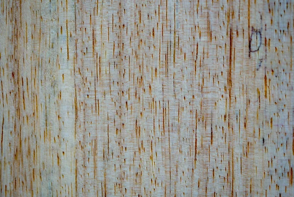Makrofotografia Różnych Faktur Drewna Wytwarzanych Naturalnie Przez Grzyby Wilgoć Ogień — Zdjęcie stockowe