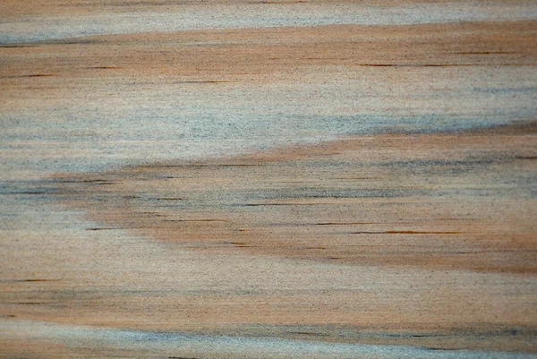 Makrofotografia Różnych Faktur Drewna Wytwarzanych Naturalnie Przez Grzyby Wilgoć Ogień — Zdjęcie stockowe