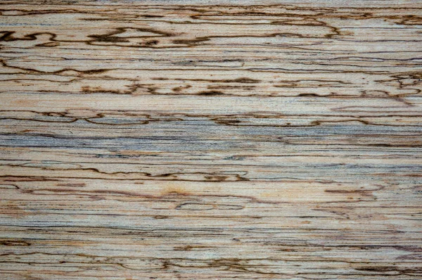 Macro Fotografia Diverse Texture Legno Prodotte Naturalmente Segni Funghi Umidità — Foto Stock