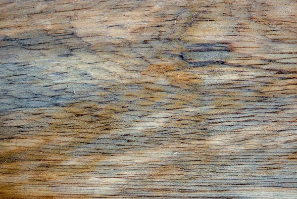 Macro Photography Different Textures Wood Produced Naturally Fungi Marks Humidity — Stock Photo, Image