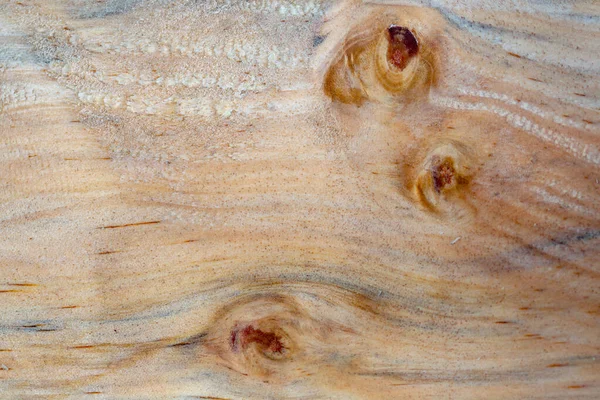 Fotografia Macro Diferentes Texturas Madeira Produzidas Naturalmente Por Marcas Fungos — Fotografia de Stock