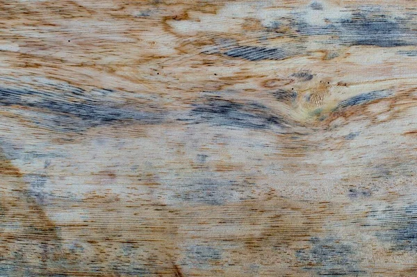 Makro Fotografie Různých Textur Dřeva Přirozeně Produkovaných Plísněmi Vlhkostí Ohněm — Stock fotografie