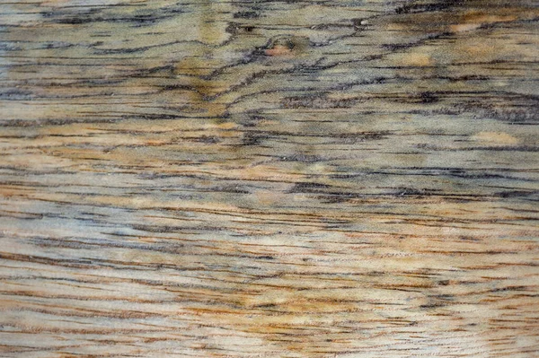 Макрозйомка Різних Текстур Деревини Виробленої Природним Шляхом Ознаками Грибів Вологості — стокове фото