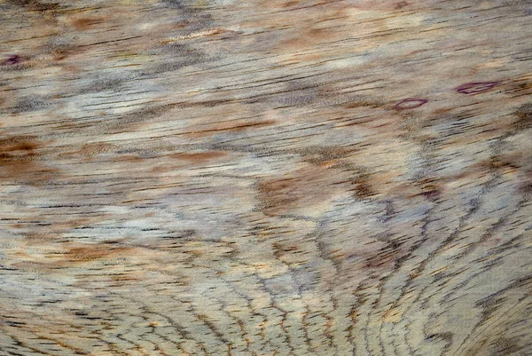 Fotografía Macro Diferentes Texturas Madera Producidas Naturalmente Por Marcas Hongos — Foto de Stock