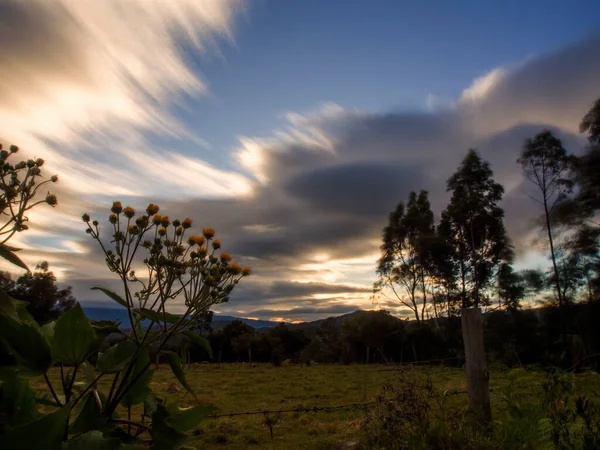 Mehrfachbelichtung Der Wolken Und Gelben Blumen Bei Sonnenuntergang Einem Bauernhof — Stockfoto