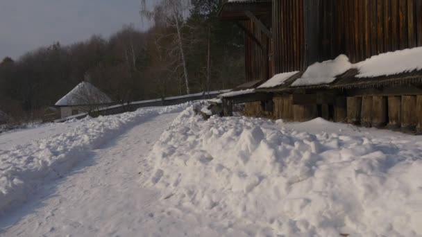 Sendero a la Iglesia en invierno Nieve Paredes de madera Antigua Iglesia del Santo Miguel Arcángel en Pirogovo Ucrania Rural invernal Paisaje Casas Soleado Día — Vídeo de stock