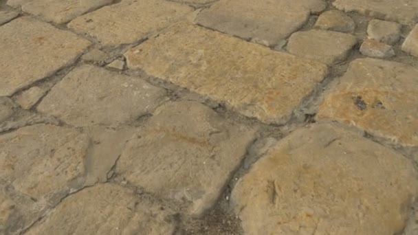 Pavimentación de camino de piedra pavimentada con piedras Ladrillos Muros Camino a una catedral de Dormición en la Dormición Santa Kiev-Pechersk Lavra Ucrania Kiev Invierno Durante el día — Vídeos de Stock