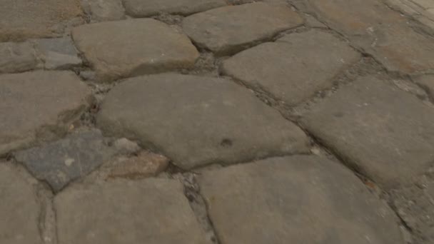 Antiguo camino de piedra pavimentada con piedras cuadradas amarillas camino a una catedral de Dormición en la Dormición Santa Kiev-Pechersk Lavra Ucrania Kiev Invierno Durante el Día — Vídeos de Stock