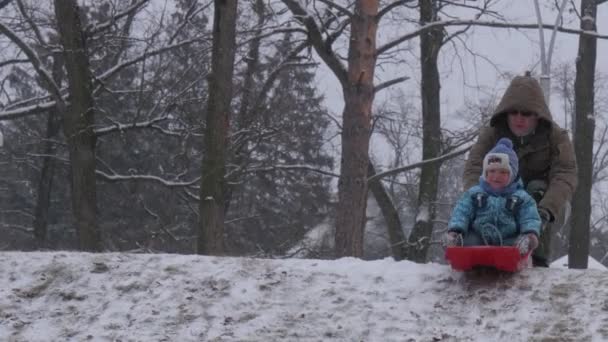 Dzieci rodzice spędzają Boże Narodzenie w Bucha Ukraina Zima Snow tata popycha sanie Kid jest jazda na SLEIGH Downhill zatrzymuje próbuje jeździć trochę więcej — Wideo stockowe