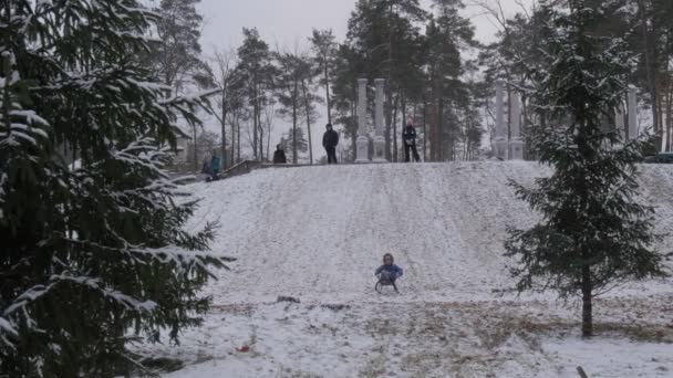 Kind fährt auf einem Schlitten bergab bucha Ukraine Weihnachtskind steht auf Winter Eltern sind auf einem Hügel Familien verbringen Zeit miteinander Spaß haben Park — Stockvideo