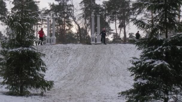 Child is Riding on a Sleigh Woman Follows Kid Slides Down on Foot Downhill Winter Kids and Parents Spending Time Together Have Fun Park in Bucha Ukraine — Stock video