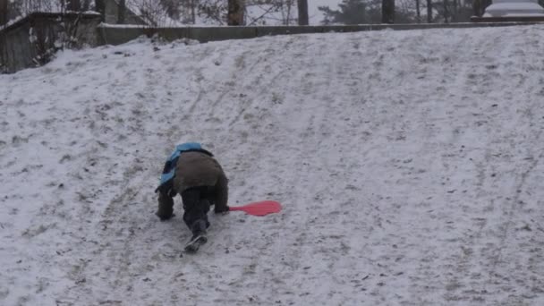 Child is Climbing up the Hill Slides Mom Pointing to the Way Kids Riding on a Sleigh Downhill Winter Kids and Parents Spending Time in Bucha Ukraine — Wideo stockowe