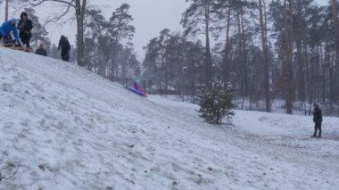 Bir atlı kızak yokuş aşağı Bucha Ukrayna Noel sefer kış kadın üzerinde sürme çocukları çalıştıran yokuş aşağı tırmanma çekerek atlı kızak aileler vardır harcama zaman birlikte olduğunu