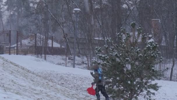 雪のそりを持つ少年はそりを運ぶ男が丘の人々を登って下り坂ブチャウクライナのクリスマス冬の家族が時間を過ごしています — ストック動画