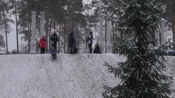 Rodzice i dzieci Wintry Park Bucha Ukraina dziecko jest uśmiechnięta jazda na SLEIGH Downhill Boże Narodzenie rodzice biorą zdjęcie spędzać czas razem — Wideo stockowe